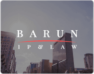 바른국제특허법률사무소